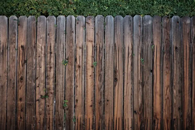 Example photo: timber fence (fencing)