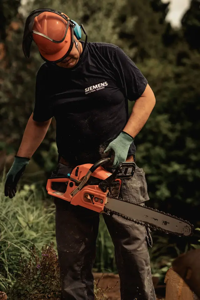 Example photo: chainsaw work (tree surgery)