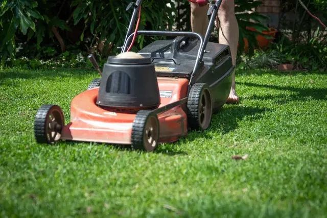 Example photo: regular grass cutting (grass cutting & lawn care)