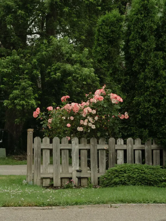 Example photo: picket fence (fencing)